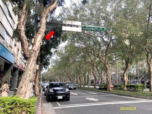 大安區大樓法拍-10