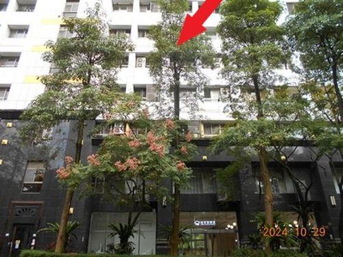 台北信義區大樓法拍-2