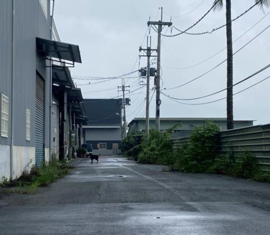 高雄大社廠房-1
