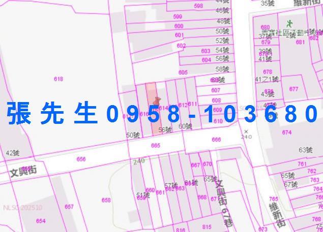 六龜法拍透天-3