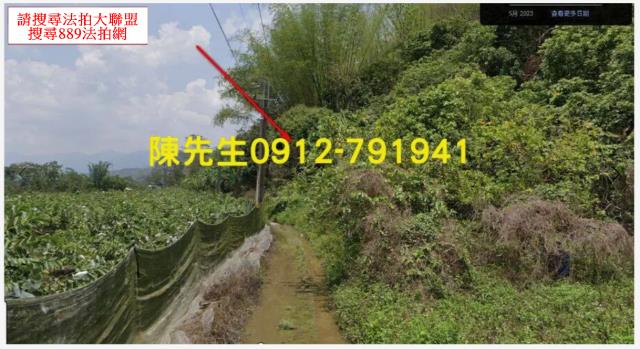 高雄甲仙農地法拍-11