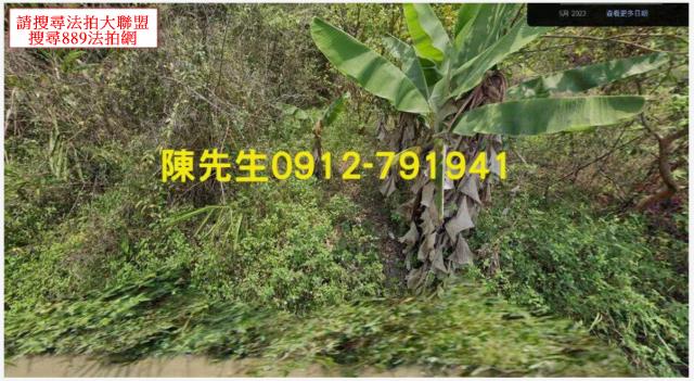 高雄甲仙農地法拍-9
