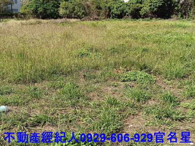 高雄梓官工業地-5