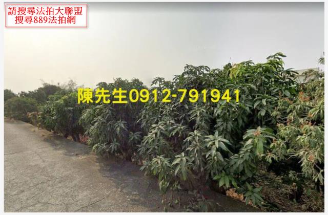 大樹農地拍賣-13