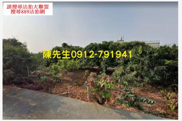 大樹農地拍賣-2