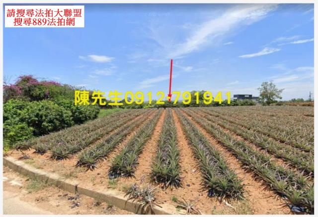 高雄大樹法拍農地-10