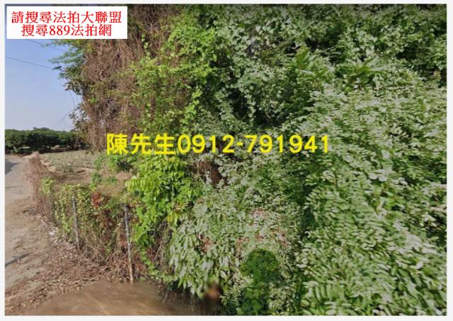 高雄大樹法拍農地-13