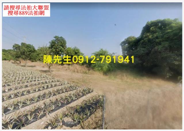 高雄大樹法拍農地-2