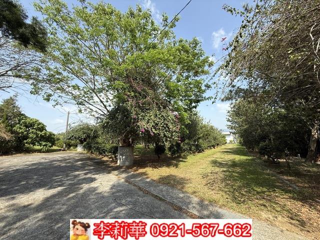 台南玉井農地-1