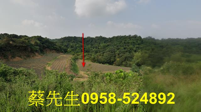 大樹農地法拍-12