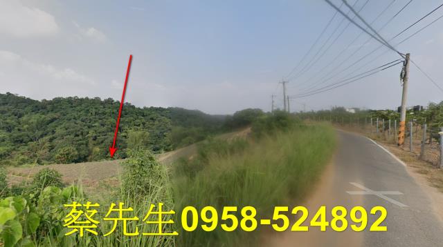 大樹農地法拍-13