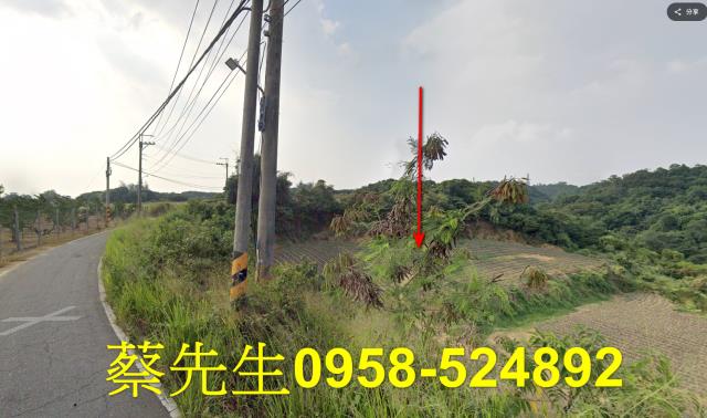 大樹農地法拍-14
