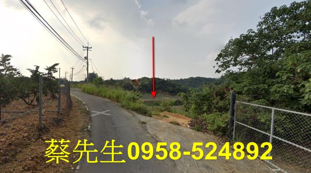 大樹農地法拍-15