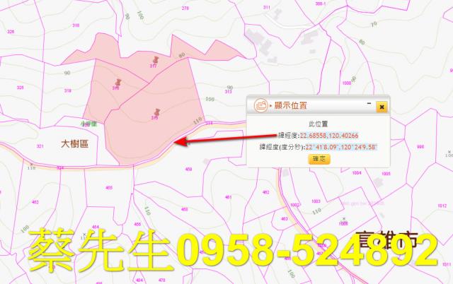 大樹農地法拍-2