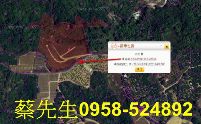 大樹農地法拍-3