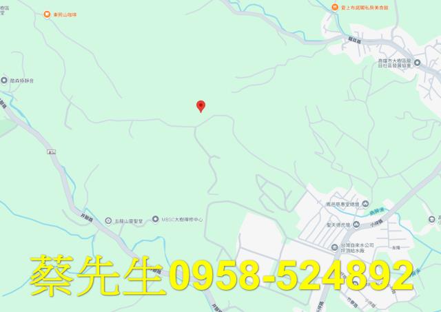 大樹農地法拍-8