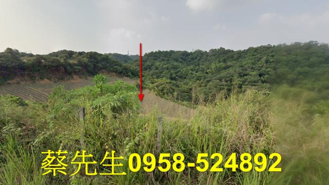 大樹農地法拍-9