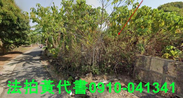 高雄田寮法拍農地-14