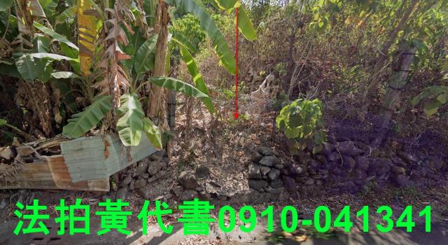 高雄田寮法拍農地-9