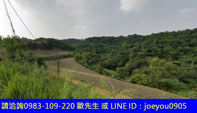 高雄大樹法拍農地-12