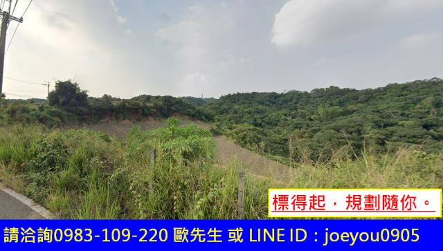 高雄大樹法拍農地-2