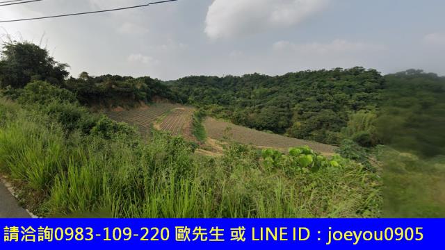 高雄大樹法拍農地-3