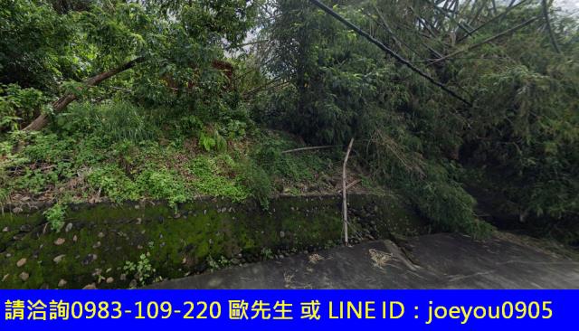 高雄大樹農地法拍-10