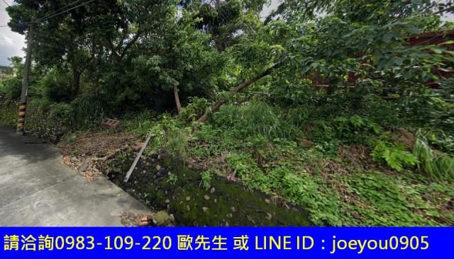 高雄大樹農地法拍-12