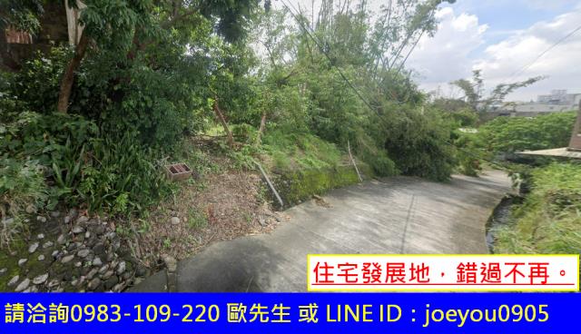 高雄大樹農地法拍-2