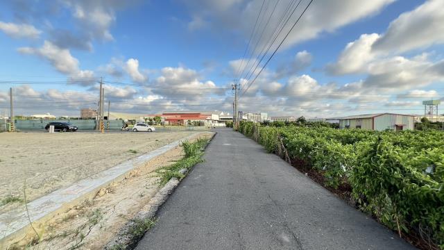 高雄燕巢農地-6