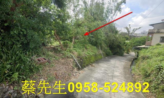 高雄建地拍賣-12