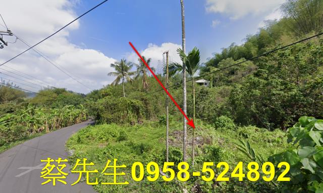 高雄內門建地法拍-12