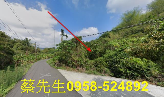 高雄內門建地法拍-13