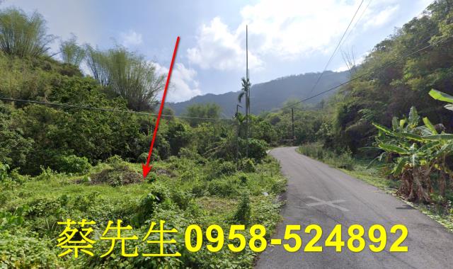 高雄內門建地法拍-6