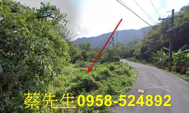 高雄內門建地法拍-7