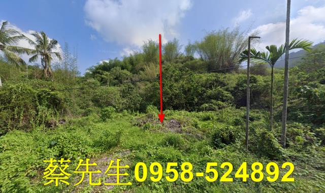 高雄內門建地法拍-9