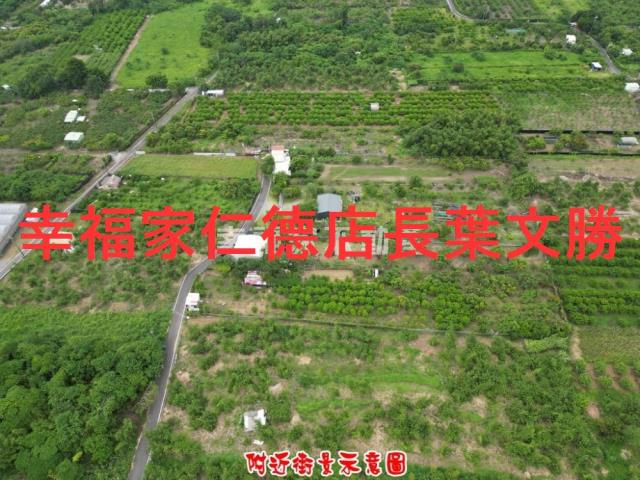 歸仁農地-10