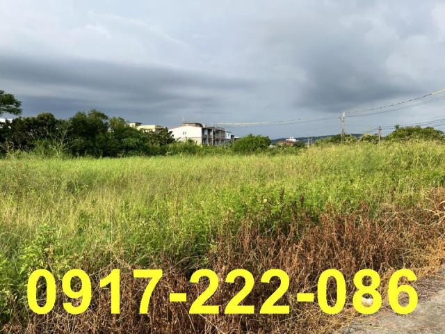 高雄岡山農地-1