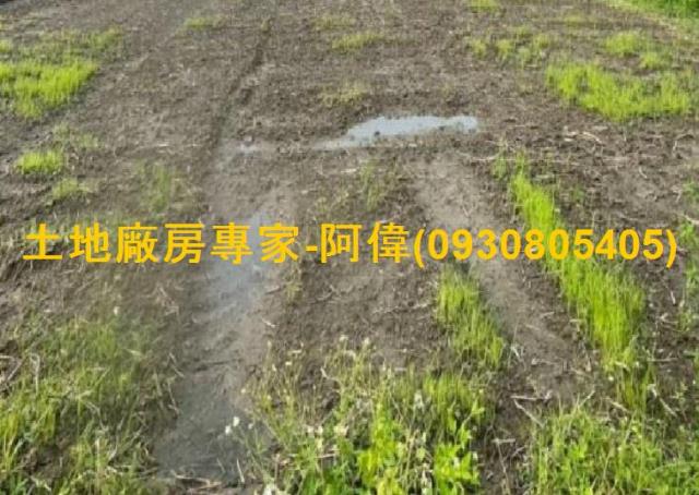 高雄大寮農地-1