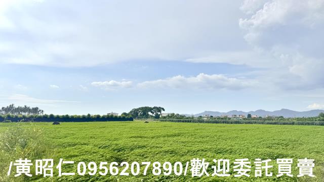 高雄農地-2
