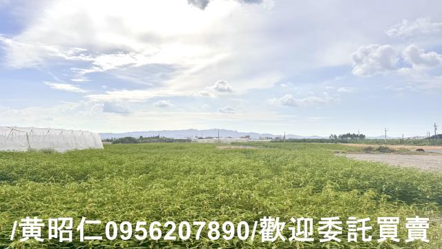 高雄農地-5