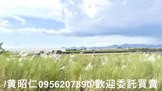 高雄農地-6