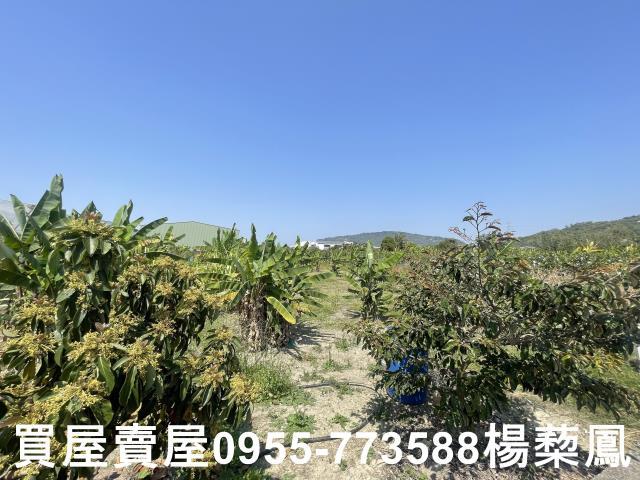 高雄岡山農地-15