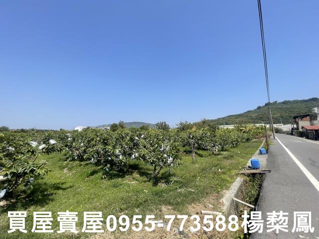 高雄岡山農地-4