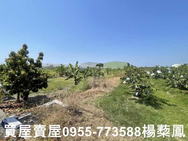 高雄岡山農地-5