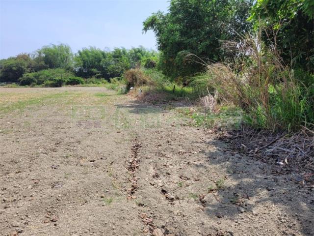 高雄阿蓮農地-2