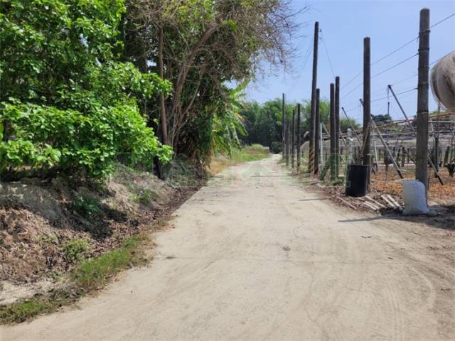 高雄阿蓮農地-9