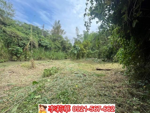 高雄田寮農地-2