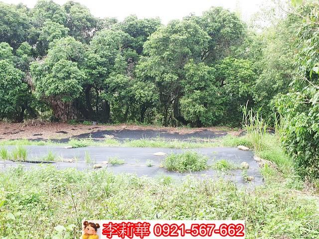 高雄田寮農地-5