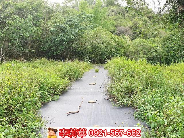 高雄田寮農地-7